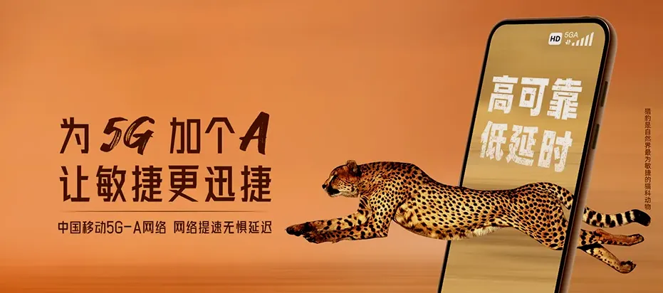 海门区海门区南通市海门区财政局芦荡管理所 移动宽带